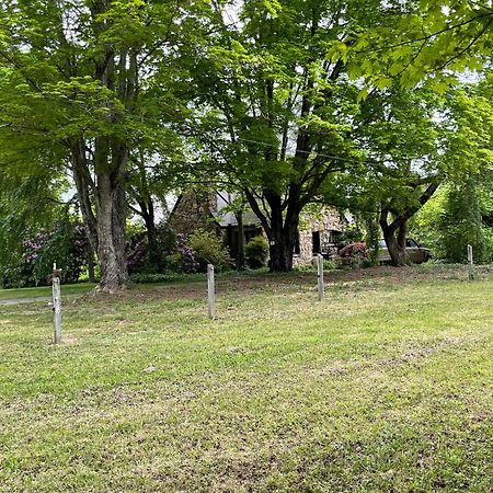 Asheville Urban Farmhouse Entire Home 4 Mi To Dt 外观 照片