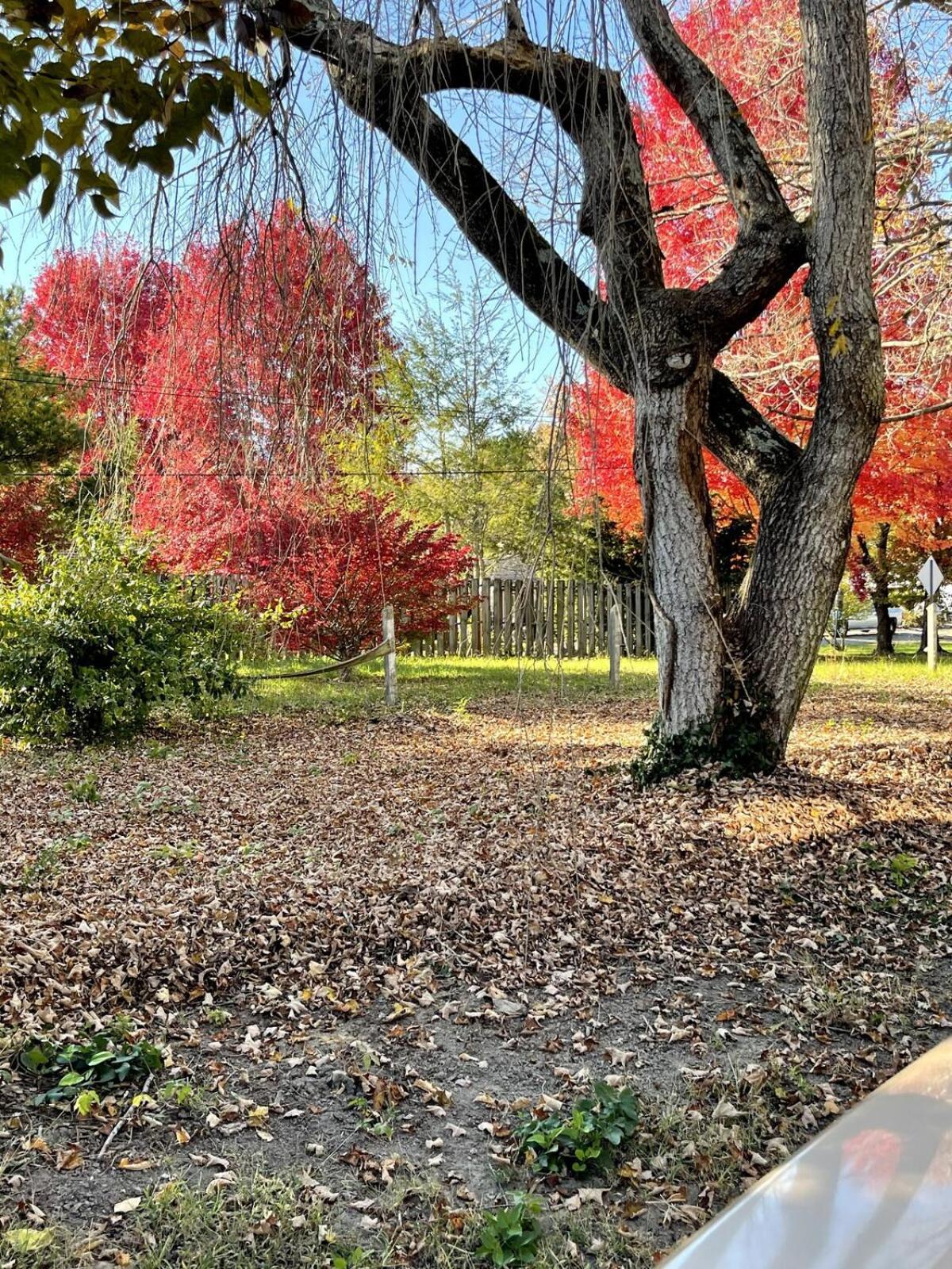 Asheville Urban Farmhouse Entire Home 4 Mi To Dt 外观 照片